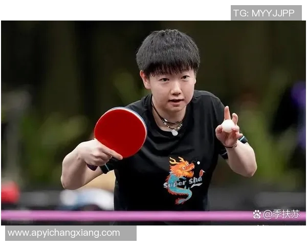 重庆乒乓球队中路突破革新探索新战术提升整体实力与竞技水平