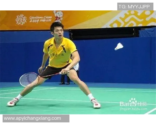 北京羽毛球队战术解析与对比研究揭示竞技优势与不足之处